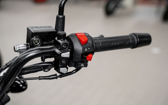 Neufahrzeug QJ Motor SRV 125 - Bild 10