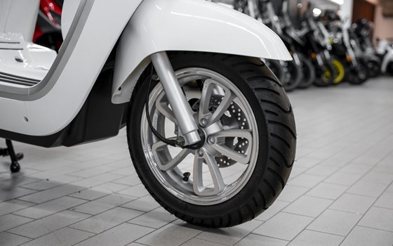 Neufahrzeug United Motors UM Chill 125 - Bild 18