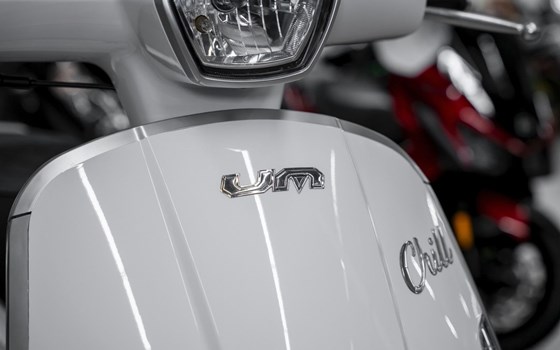 Neufahrzeug United Motors UM Chill 125 - Bild 19