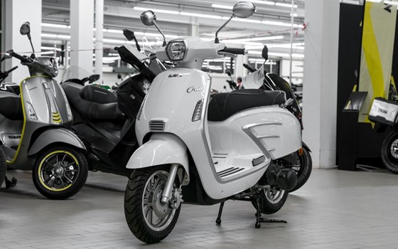 Neufahrzeug United Motors UM Chill 125 - Bild 3