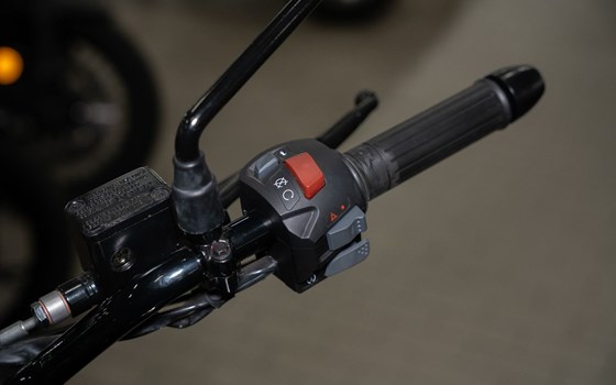 Neufahrzeug BSA Gold Star 650 - Bild 11