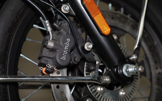 Neufahrzeug BSA Gold Star 650 - Bild 19