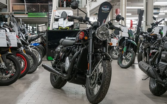 Neufahrzeug BSA Gold Star 650 - Bild 3