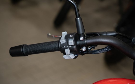 Neufahrzeug QJ Motor SRV12 - Bild 9