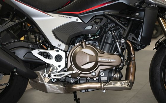 Neufahrzeug QJ Motor SRK 600 PRO - Bild 17