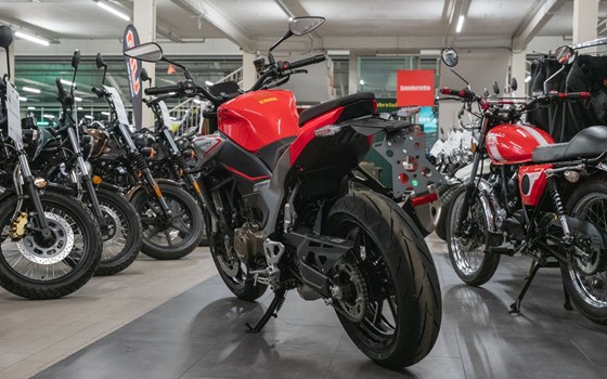 Neufahrzeug QJ Motor SRK 600 PRO - Bild 3