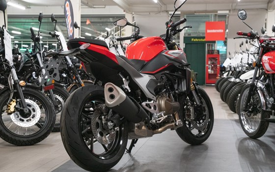 Neufahrzeug QJ Motor SRK 600 PRO - Bild 4