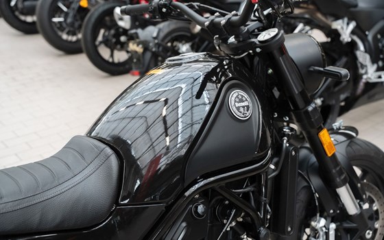 Gebrauchtmotorrad Benelli Leoncino 500 - Bild 10