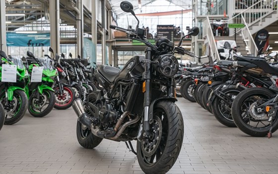 Gebrauchtmotorrad Benelli Leoncino 500 - Bild 2