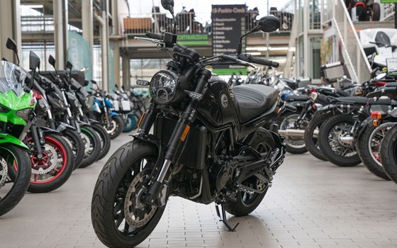 Gebrauchtmotorrad Benelli Leoncino 500 - Bild 3