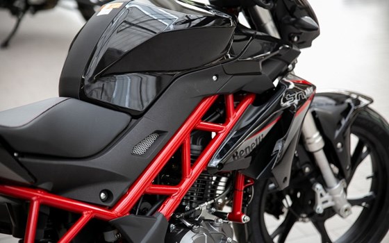 Neufahrzeug Benelli BN 125 - Bild 16