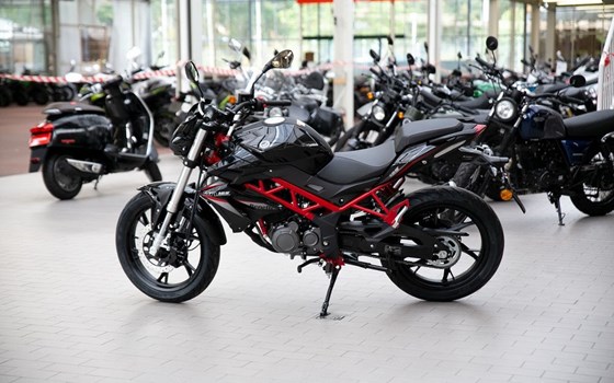 Neufahrzeug Benelli BN 125 - Bild 3