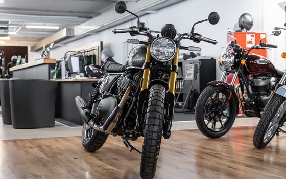 Neufahrzeug Royal Enfield Bear 650 - Bild 3