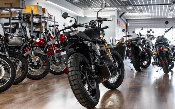 Neufahrzeug Royal Enfield Bear 650 - Bild 6