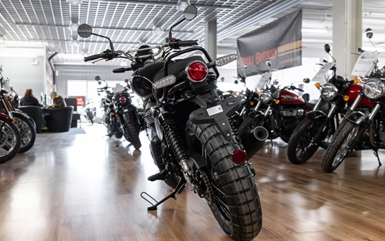 Neufahrzeug Royal Enfield Bear 650 - Bild 7