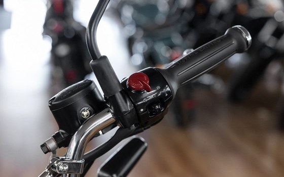 Neufahrzeug Royal Enfield Bear 650 - Bild 9