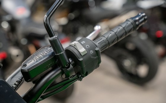 Neufahrzeug Kawasaki Z900 70kW - Bild 10