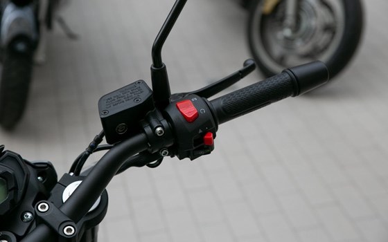 Neufahrzeug Benelli BN 125 - Bild 15