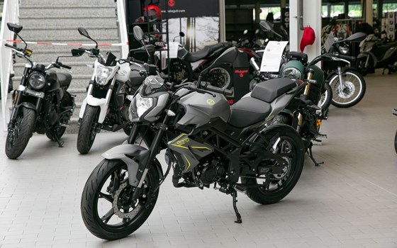 Neufahrzeug Benelli BN 125 - Bild 2