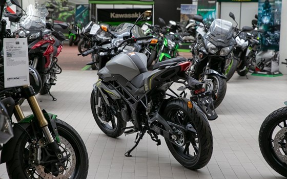 Neufahrzeug Benelli BN 125 - Bild 4