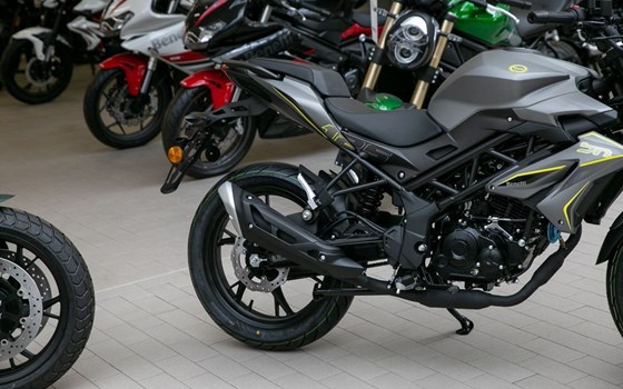 Neufahrzeug Benelli BN 125 - Bild 6