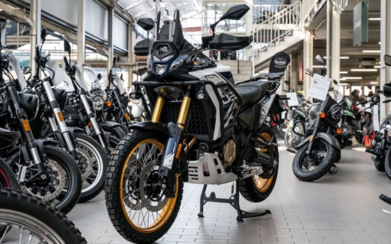 Neufahrzeug Voge DS800X Rally - Bild 2