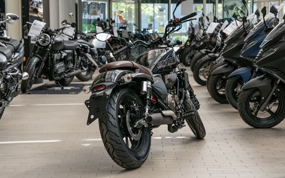 Neufahrzeug QJ Motor SRV 125 - Bild 2