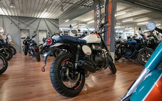 Neufahrzeug Royal Enfield Bear 650 - Bild 2