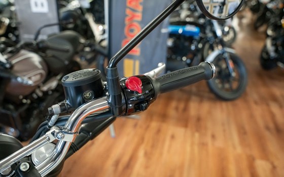 Neufahrzeug Royal Enfield Bear 650 - Bild 7