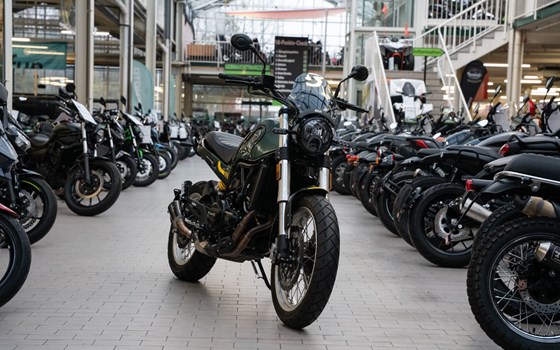 Gebrauchtmotorrad Benelli Leoncino 500 Trail - Bild 3