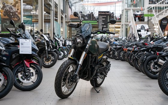 Gebrauchtmotorrad Benelli Leoncino 500 Trail - Bild 4