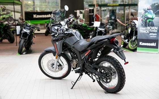 Gebrauchtmotorrad Malaguti Dune 125 X Black Edition - Bild 4