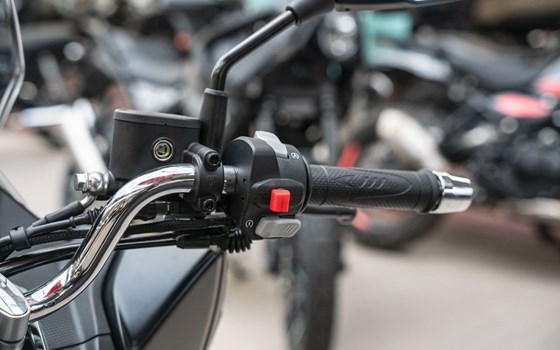 Neufahrzeug QJ Motor MTX 125 - Bild 10