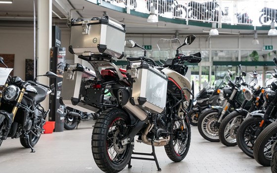 Neufahrzeug Benelli TRK 702 X - Bild 3