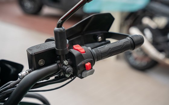 Neufahrzeug Benelli TRK 702 X - Bild 10