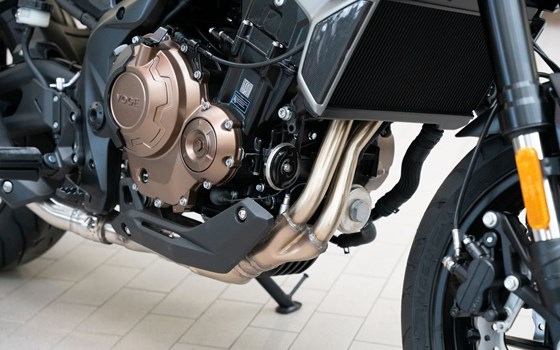 Neufahrzeug Voge R625 - Bild 19