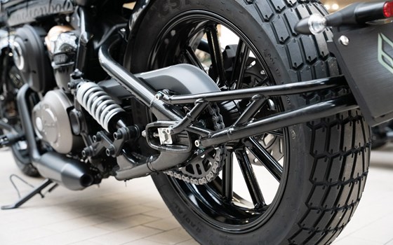 Neufahrzeug Benda Napoleonbob 250 - Bild 14