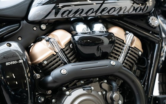 Neufahrzeug Benda Napoleonbob 250 - Bild 17