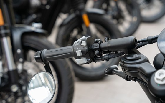 Neufahrzeug Benda Napoleonbob 250 - Bild 7