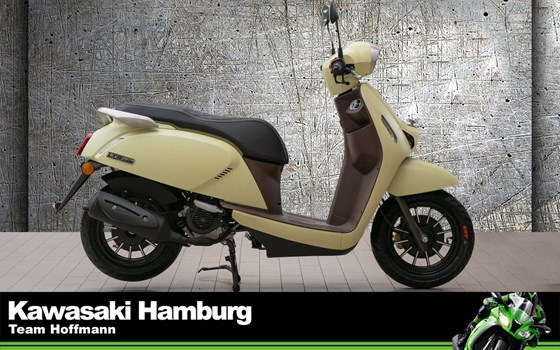 Neufahrzeug QJ Motor LTR 50 - Bild 1