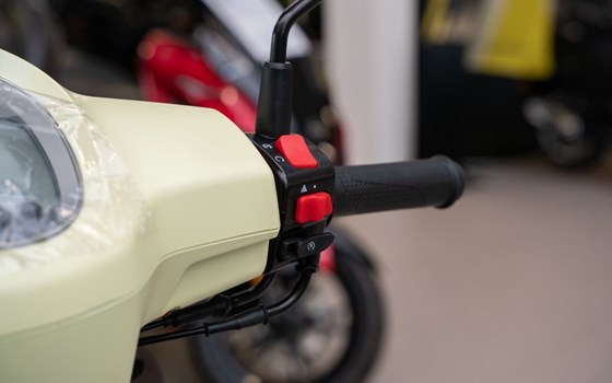 Neufahrzeug QJ Motor LTR 50 - Bild 10