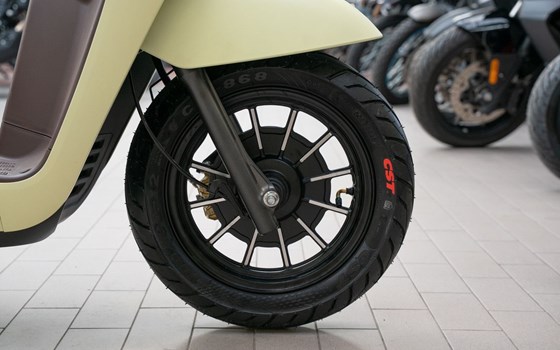 Neufahrzeug QJ Motor LTR 50 - Bild 16