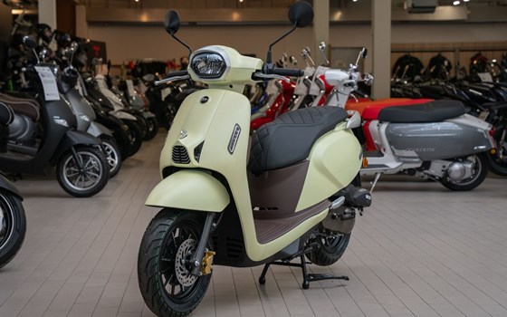 Neufahrzeug QJ Motor LTR 50 - Bild 3