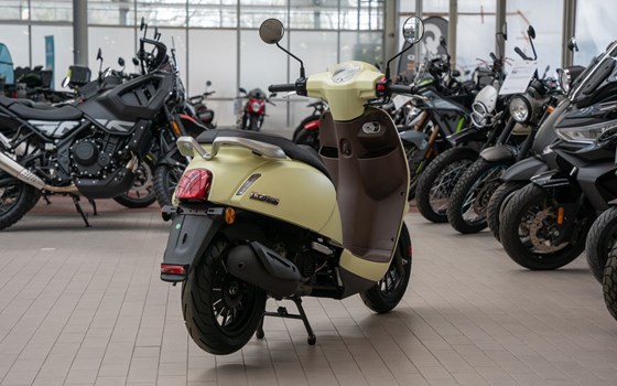 Neufahrzeug QJ Motor LTR 50 - Bild 6