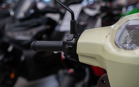 Neufahrzeug QJ Motor LTR 50 - Bild 7