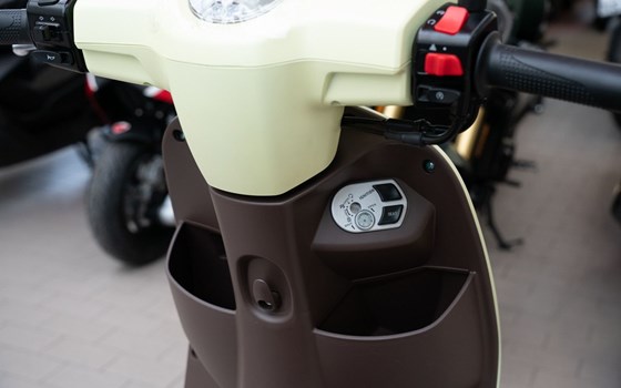 Neufahrzeug QJ Motor LTR 50 - Bild 8