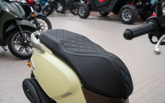 Neufahrzeug QJ Motor LTR 50 - Bild 9