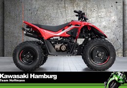 Neumotorrad CFMOTO CForce 110