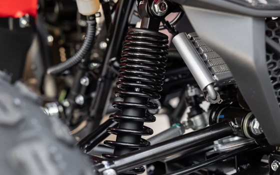 Neufahrzeug CFMOTO CForce 110 - Bild 12