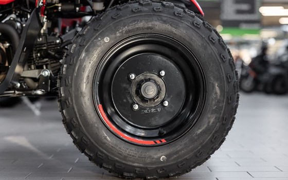 Neufahrzeug CFMOTO CForce 110 - Bild 13